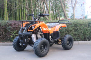 <span class=keywords><strong>Quad</strong></span> 4x2 à essence 125cc 2RM automatique à transmission par chaîne 4 temps pour adultes, modèle 2026, directement de l'usine, <span class=keywords><strong>pas</strong></span> <span class=keywords><strong>cher</strong></span> - Product Image 3