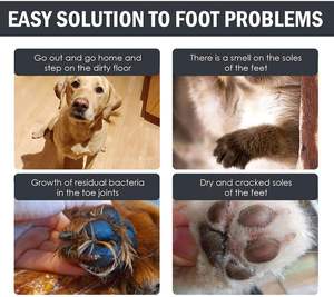 Private <b>Label</b> Pet Dog Paw Cleaner Foam Waterless No Rinse Paw Cleaner for Dogs and Cats - Product Image 4