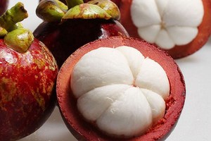 ผงสารสกัดจากมังคุด40% อัลฟามังคุด - Product Image 2