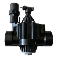 Válvula Solenoide Rain Bird 150PGA 200PGA DN50 de 2 Pulgadas AC24V DC, Válvula de Control de Agua Automática para Jardín y Granja, Válvula de Plomería