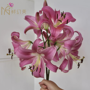 ताजा कट गुलाबी रोबिना लिली गुलदस्ते, प्रति डंठल 2 तने, लंबे वेस जीवन 10 + दिन, युन्नान फार्म से - Product Image 3