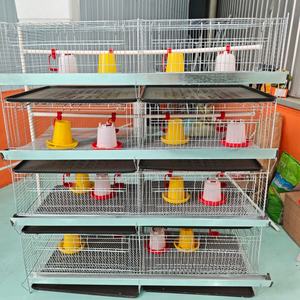 Jaula <span class=keywords><strong>de</strong></span> Acero para Cría <span class=keywords><strong>de</strong></span> Aves <span class=keywords><strong>de</strong></span> Corral, 3/4 Niveles, Capacidad para 90-240 Aves, Jaula <span class=keywords><strong>de</strong></span> Batería para Cría <span class=keywords><strong>de</strong></span> <span class=keywords><strong>Pollitos</strong></span> - Product Image 5