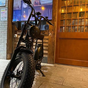 Lvco-sillín de asiento clon de horquilla de suspensión, piezas <span class=keywords><strong>Rx</strong></span> de bicicleta eléctrica de 20 pulgadas, Z1 73, almacén de la UE, novedad - Product Image 1