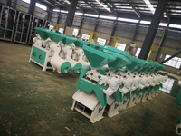 Machine automatique à haute productivité pour le décorticage et le polissage des graines de maïs, avec moteur, pour le maïs et le millet