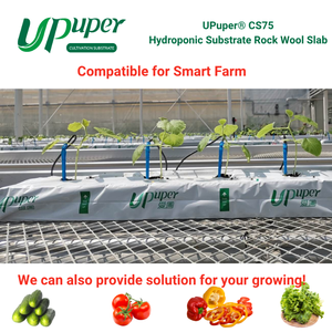 UPuper CS75 40x8x3 Plaques de culture hydroponique en laine de roche pour Pepino/Poivre/Tomate/Légumes à feuilles/Chanvre/Concombre - Product Image 3