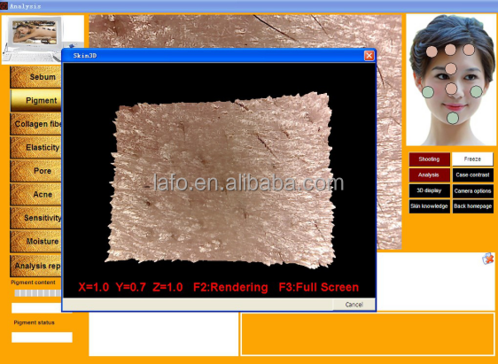 Professional 15 inch touch screen Skin Analyzer Machine / Skin Scope Analyzer / Skin Dignosis salon use