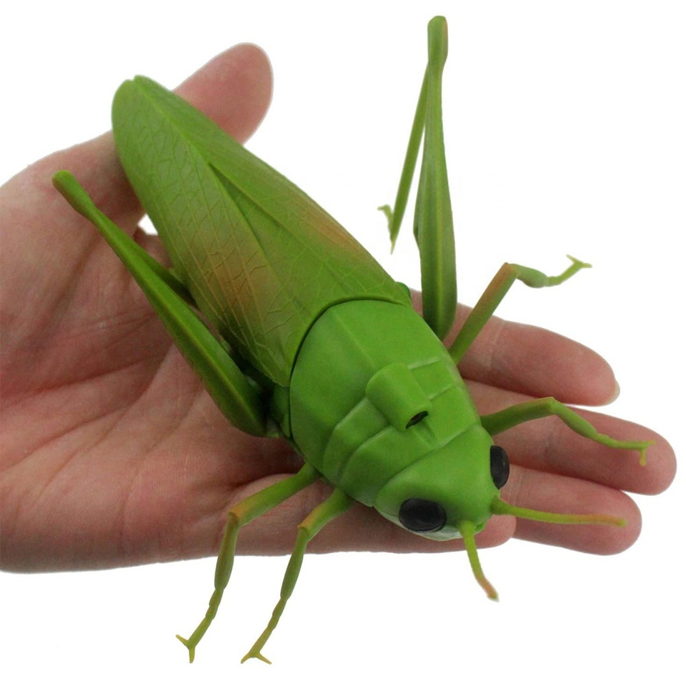 Rc Grasshopper-Remote Control Grass Hopper Animal Toy 7 Rc Grasshopper-Remote Control Grass Hopper Animal Toy
