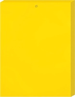 Piège à insectes volants double face jaune blanc Abeille collante Tueur de mouches des fruits Verger Lutte antiparasitaire jetable Usage domestique