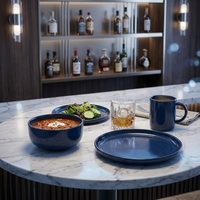 Service de table 16 pièces en grès réactif bleu, étanche, résistant à la chaleur et au lave-vaisselle, vaisselle durable pour fêtes et mariages