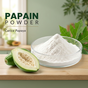 Food Grade Papain <b>Powder</b> Fruit Extract Carica Papaya Ingredient for Food Processing - Product Image 2