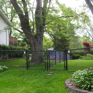 Clôture galvanisée de maillon de chaîne de <span class=keywords><strong>2m</strong></span> de <span class=keywords><strong>hauteur</strong></span> en forme de diamant enduit de PVC - Product Image 4