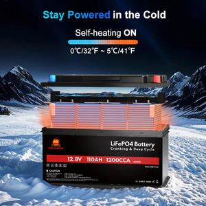 Batteria al litio a doppio scopo LiFePO4 12V 24V 100Ah 200Ah 300Ah Start batteria per camper Marine RV Motorhome - Product Image 3