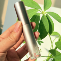 Tubes de brillant à lèvres de luxe 6 ml avec pinceau, dégradé mat argenté, logo personnalisé, conteneur vide pour brillant à lèvres, matériau ABS