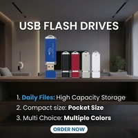 Clé USB personnalisée avec logo, 64 Mo, 128 Mo, 256 Mo, 512 Mo, 1 Go, USB 2.0, pour les startups, cadeau promotionnel, emballage personnalisé