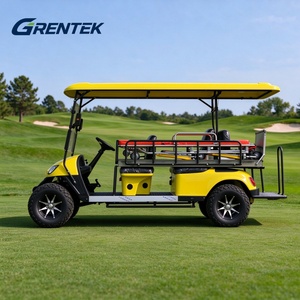 Carrito de Golf Eléctrico para Servicios Públicos con Batería de Litio de 48V para Hoteles y Hospitales, para Carreteras No Públicas - Product Image 3