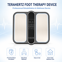 Appareil de physiothérapie chauffant pour les pieds P90 THz Tera, amélioration de la circulation sanguine, usage domestique senior, prix fabricant