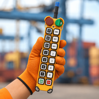 Sistema de Control Remoto Inalámbrico Industrial OEM F24-14D de 14 Canales y Doble Velocidad para Manipulación de Materiales, Grúa y Elevador