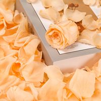 Kelopak Mawar Kering Asli 20g, Kelopak Bunga Awet Beku untuk Hadiah Hari Valentine, Dekorasi Pesta Pernikahan, Hiasan Meja