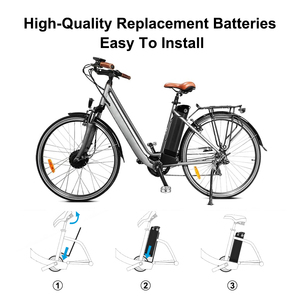 Batterie au lithium-ion EU Wholesale Silver Fish 36V 24.5Ah 48V 21Ah pour trottinette et vélo 250W 500W 1000W - Product Image 6