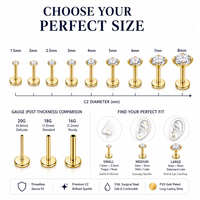 Boucles d'oreilles unisexes Helix en acier inoxydable avec micro-pavé de zirconiums et fermoir à vis pour grossistes en bijoux de piercing