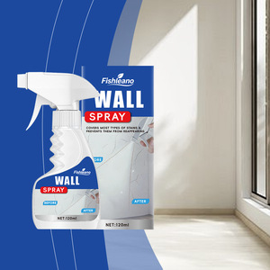 Ev Duvar Yenileme Sprey Boyası Grafiti Lekeleri Restorasyon Beyaz Boya Hızlı Kuruyan Nazik Zararsız - Product Image 1