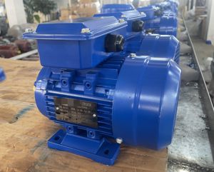 1.5HP 1.1KW ปรับแต่งได้2980รอบต่อนาทีมอเตอร์ไฟฟ้าเหนี่ยวนำกระแสสลับ220V/230V - Product Image 6