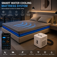 Système de refroidissement et de chauffage pour matelas - Système de refroidissement avancé à base d'eau - Alternative au sommeil - 8 Sleep Alternative