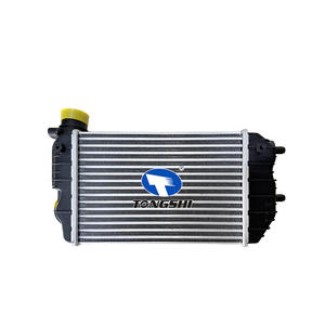 TONGSHI OEM 1307012080 Système de refroidissement automobile <span class=keywords><strong>Intercooler</strong></span> de moteur pour <span class=keywords><strong>JUMPER</strong></span> BOX/BUCATO BUS 230 - Product Image 3