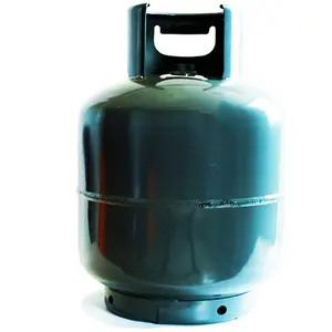 Guaranteed Quality Proper Price 12.5kg Home Cooking Gas Cylinder LPG