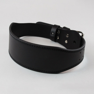 Cinturón de Gimnasio con Soporte Lumbar Acolchado de Cuero, Personalizable con Logotipo, para Levantamiento de Pesas, Sentadillas, Peso Muerto y Dips, para Hombres y Mujeres - Product Image 2