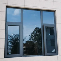 Solutions de fenêtres en acier inoxydable et en alliage d'aluminium sur mesure, préfabriquées, économiques en énergie, isolantes thermiquement et insonorisées
