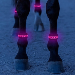 Licollinli — bande lumineuse <span class=keywords><strong>de</strong></span> sécurité LED, accessoire lumineux pour les jambes du <span class=keywords><strong>cheval</strong></span> - Product Image 4