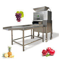 Cashew Citroen Industriële Juicer Passievrucht Maken Aloë Vera Proces Rode Biet Machine Kruidensap Extractor
