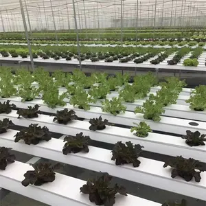 Sistema di coltivazione sistema di pila di pentole idroponiche verticali rdwc sistemi di coltivazione a controllo automatico idroponico