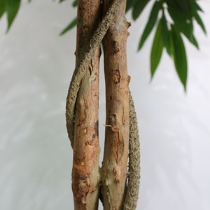 Nuevo Árbol Artificial Resistente a los Rayos UV, Ligero, Personalizado, para Sala de Estar, Hogar, Regreso a Clases, en Maceta de Plástico - Product Image 4