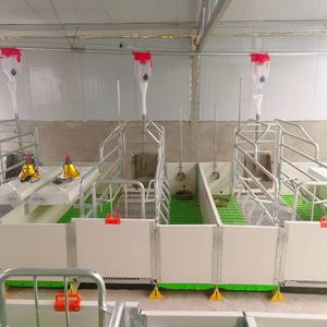 Fabrika fiyat toptan domuz çiftliği domuz kafesi ekipmanları yetiştiriciliği tezgahları PVC Sow Farrowing sandık - Product Image 5