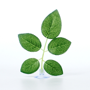 Drh Hot Sale Vechten Vis Paaien Blad Met Zuignappen Waterplant Voederen Blad <span class=keywords><strong>Aquarium</strong></span> Aquascape Decoratie - Product Image 4