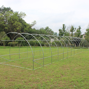 2017 <span class=keywords><strong>Tunnel</strong></span> de tomate de maison verte de haute qualité avec cadre en métal facilement assemblé et type de bois naturel traité sous pression - Product Image 6