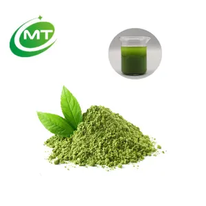 Polvere di tè verde matcha di alta qualità polvere di matcha fine biologico