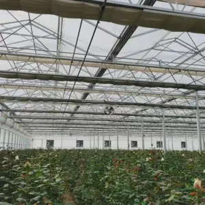 Greenhouse Inside Shading Aluminum Foil Shade Net Vegetable Protection Thermal Screen For Energy Saving UV 70% Shading Net