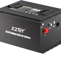 Batterie LiFePO4 36V 100Ah légère pour voiturette de golf, 5000 cycles, pour véhicule électrique, AGV, autolaveuse, nacelle élévatrice, utilitaire