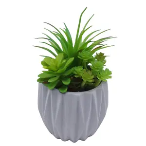 Tizen China Fornecedor Decoração de mesa de escritório interior Adereços Ornamentos Plantas verdes artificiais suculentas em vasos