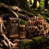 Poudre d'extrait de champignon Maitake naturel 30% polysaccharides