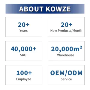 Kowze China Manufacturer Other Auto Brake Parts Wholesale Brake Pads Brake Drum Car Break Pads For Toyota Rocco