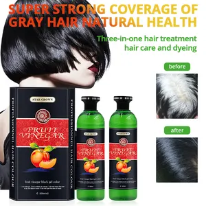 Premium Quality Fruit Vinegar Hair Dye in Stylish Colors 