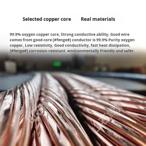 ZC-YJV <span class=keywords><strong>2</strong></span>芯難燃性銅線建設現場XLPE絶縁電源ケーブル6 10 16 185平方30A容量 - Product Image 3