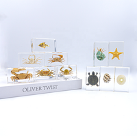 Spécimen d'insecte enrobé de coquillages, crabes et petites étoiles de mer dans de la résine, décoration de bureau, coquillage dans de l'art en résine époxy