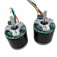 Moteur BLDC haute efficacité 7,4 V BL2820W avec contrôle PWM progressif, haute vitesse, indice de protection IP54, pour mini pistolet de massage portatif