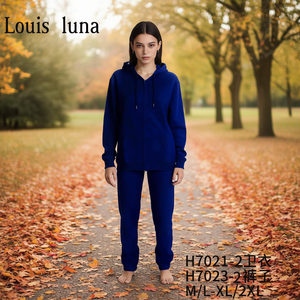 Tuta da donna HDJ con cappuccio H7021-1 M L XL 2XL Autunno Inverno Casual Sportswear con cerniera lunga vestibilità ampia - Product Image 2