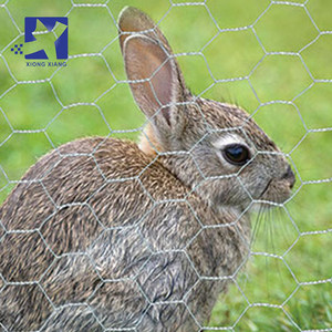 Jaula <span class=keywords><strong>hexagonal</strong></span> de <span class=keywords><strong>alambre</strong></span> de 3/4 de pulgada para conejos, cangrejos, palomas, gallinas, aves de corral, patos y mascotas - Product Image 1